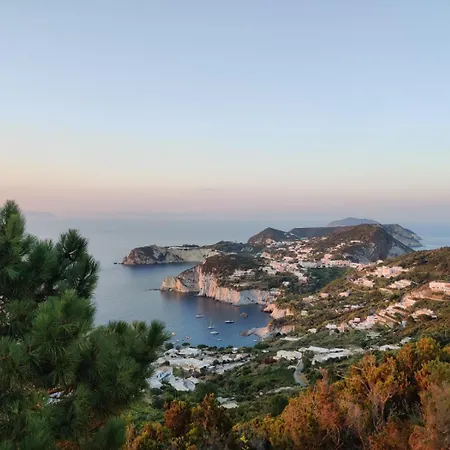 Ponza Luxury *